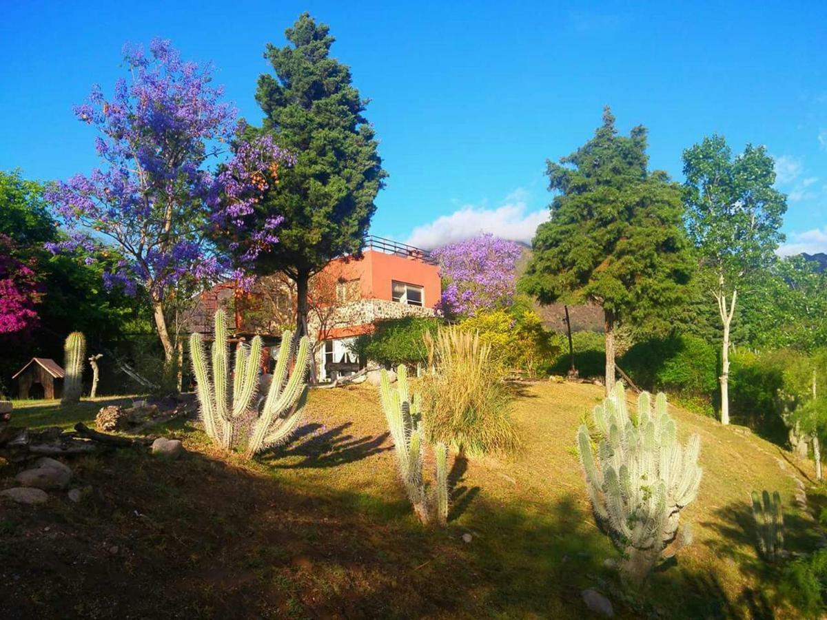Cabanas Altos Del Velazco 拉里奥哈 外观 照片
